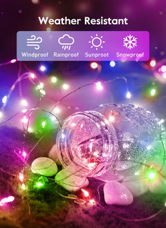 33 FT / 100 LED / Multicolor