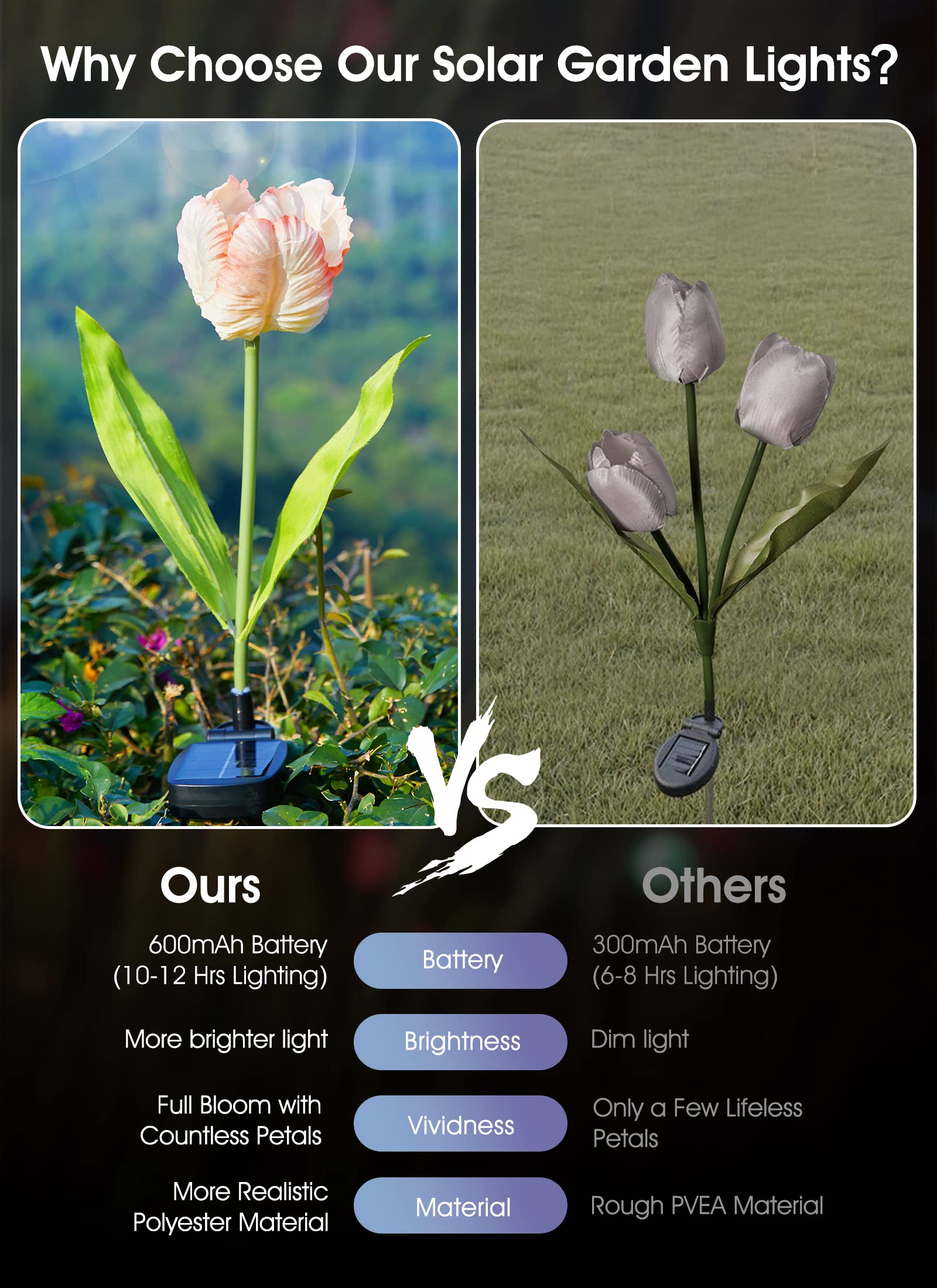 1 x 4 Pack / Tulip / LED