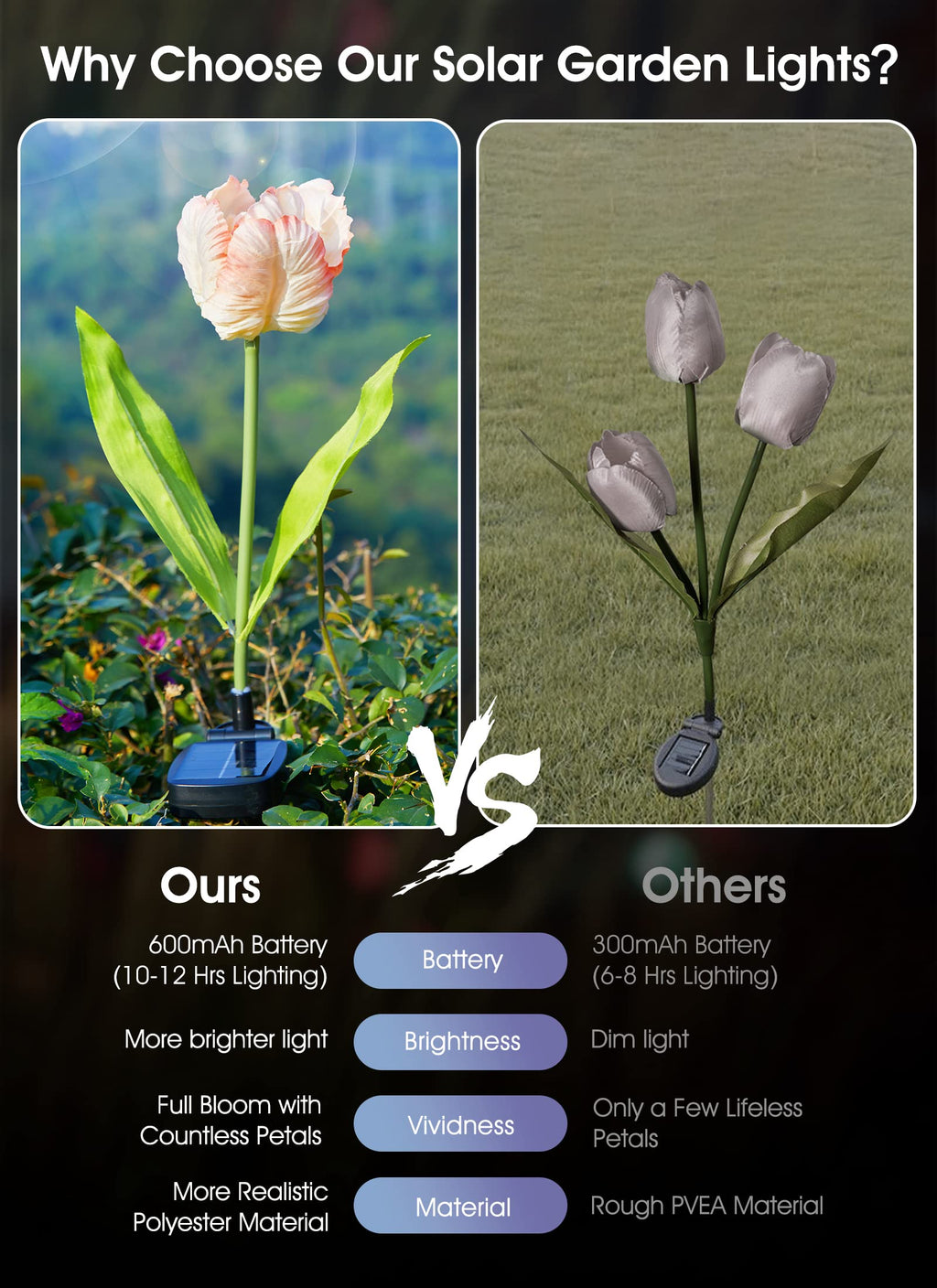 1 x 4 Pack / Tulip / LED