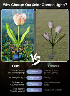 1 x 4 Pack / Tulip / LED