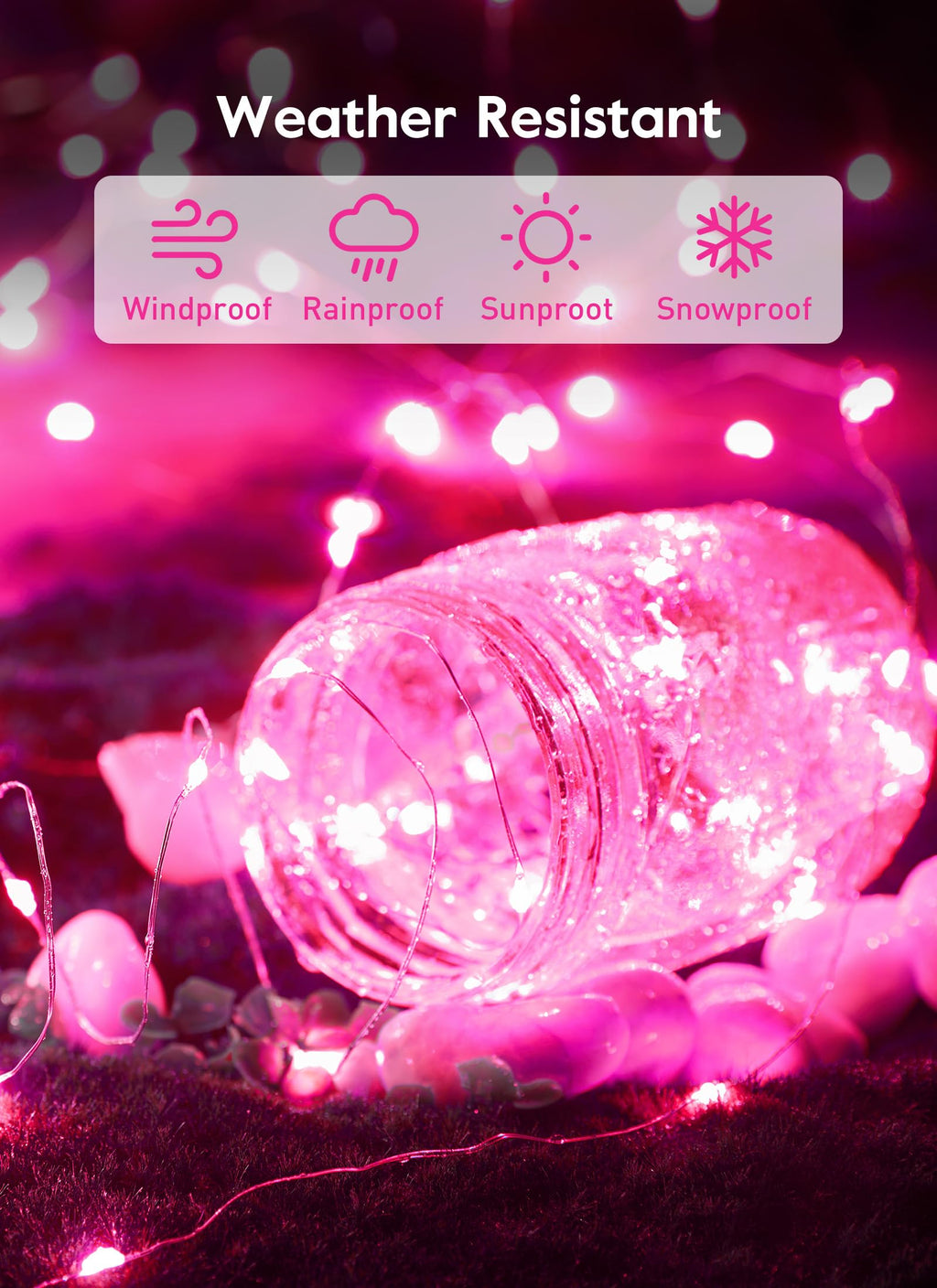 33 FT / 100 LED / Pink