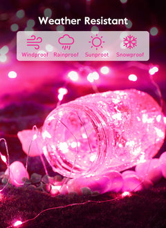 33 FT / 100 LED / Pink