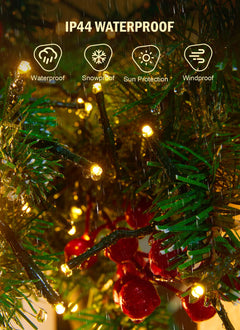 50 FT / 1000 LED / Warm White