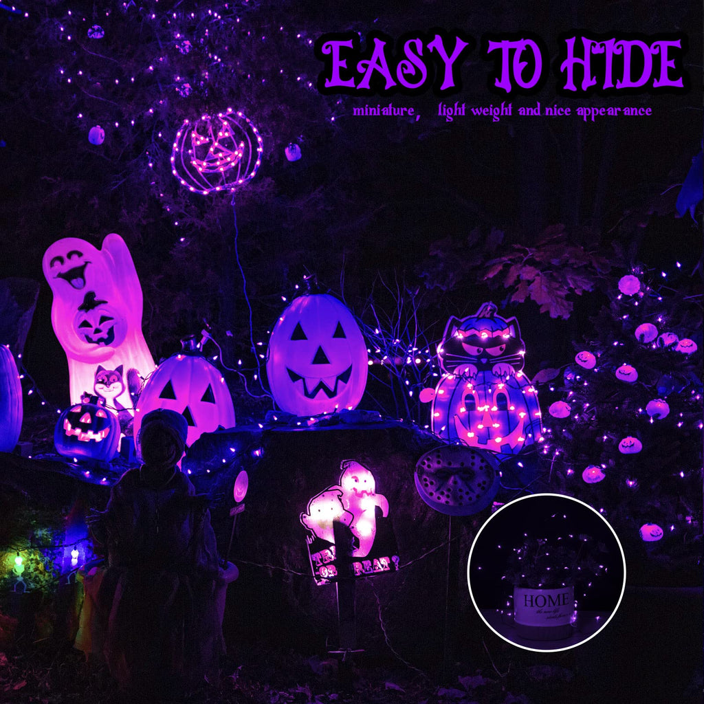 24 x 7 Feet / 20 LED / Purple