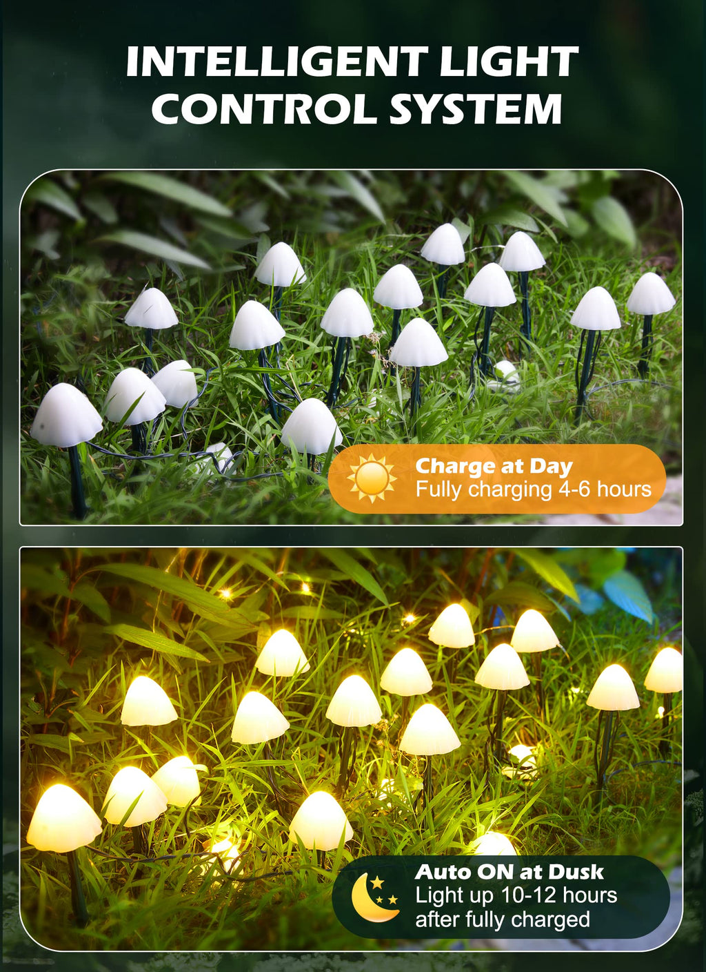 1 x 33 Feet / 20 LED / Mushroom / Warm White