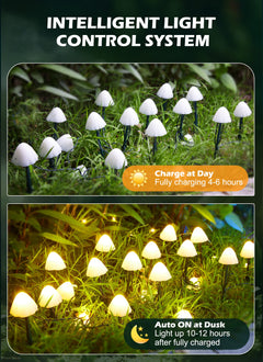 1 x 33 Feet / 20 LED / Mushroom / Warm White