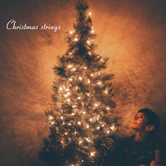 25 Count / Clear Bulbs / Warm White
