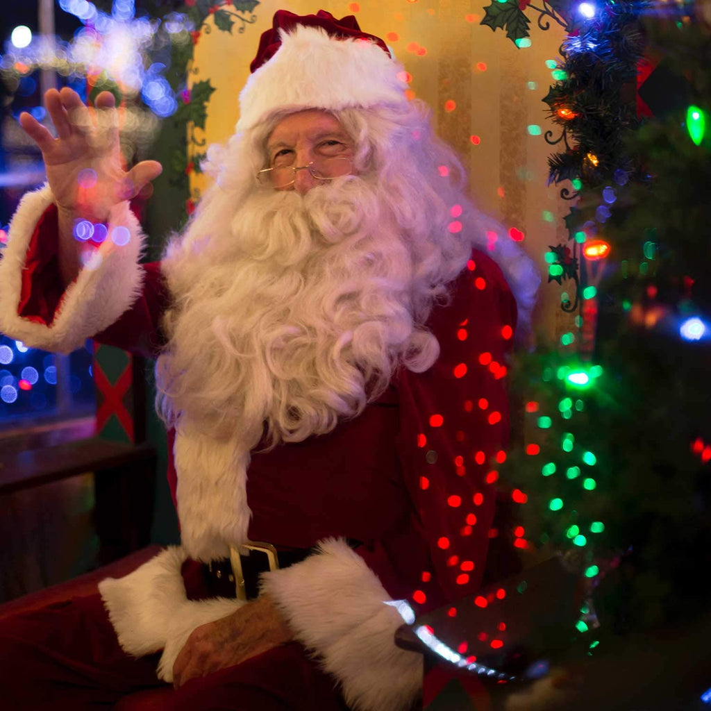 25 Count / Multicolor