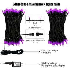 66 Feet / 200 LED / Purple / Black Wire