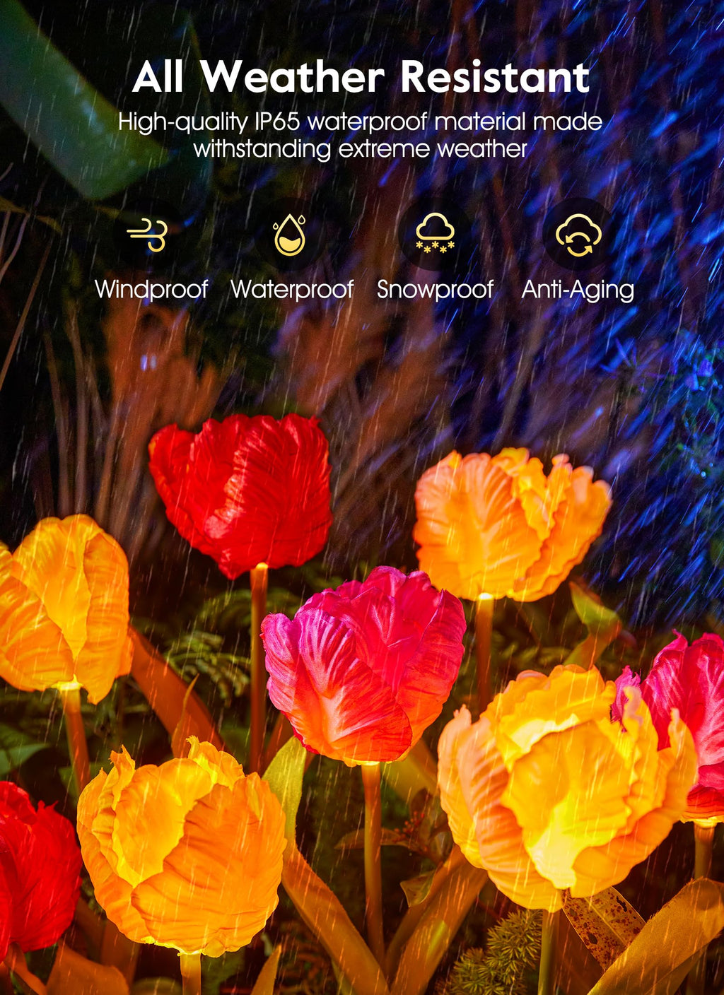 1 x 4 Pack / Tulip / LED