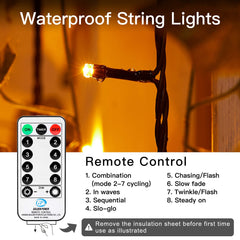 66 Feet / 200 LED / Orange / Black Wire