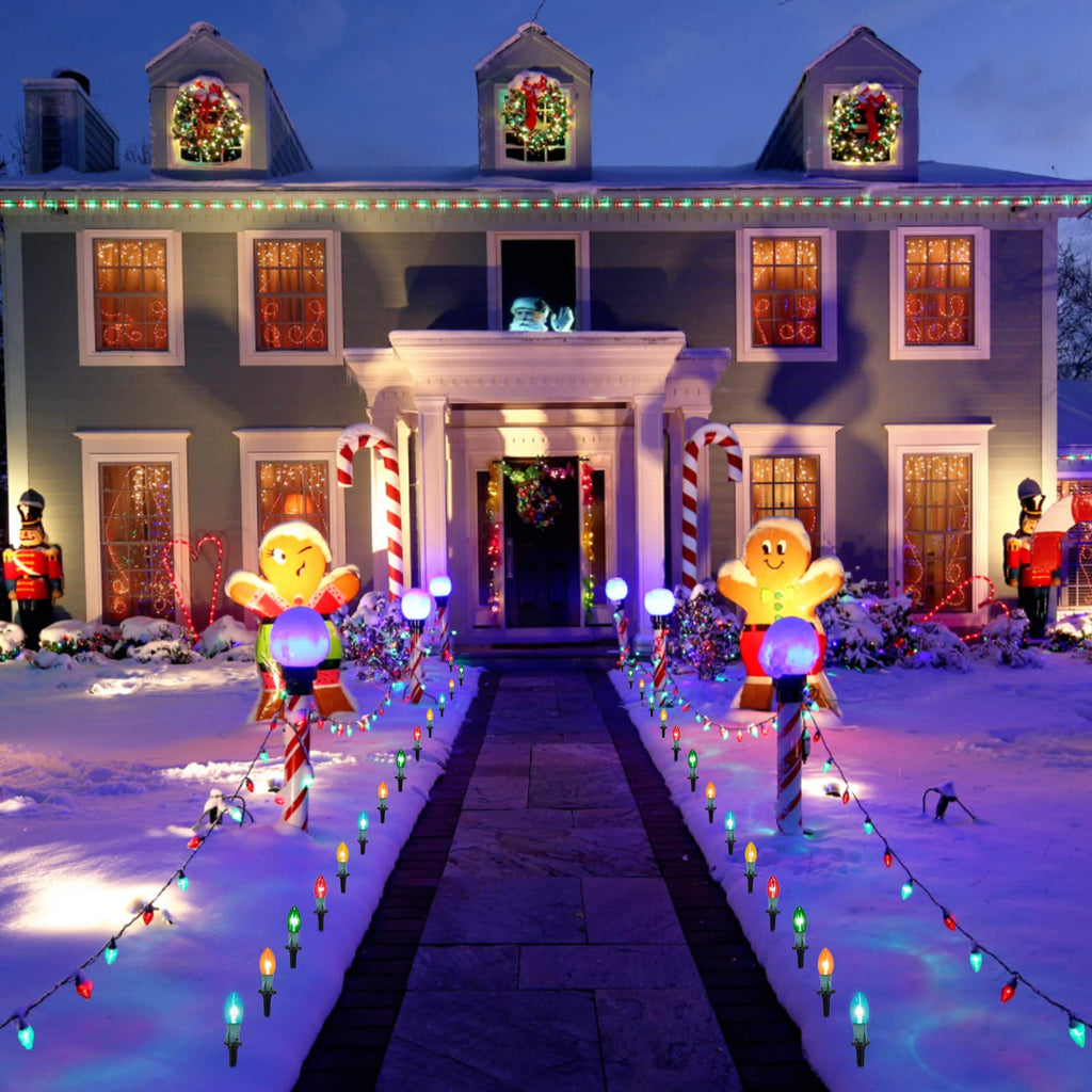 2 x 25.7 Feet / 20 ClearBulbs / Multicolor