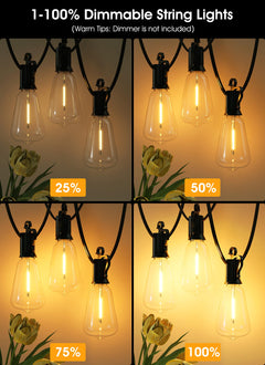 ST38 Vintage LED Bulb String Lights, 2700K