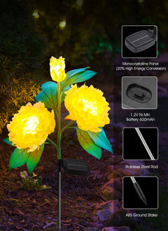 1 x 3 Pack / Peony / LED