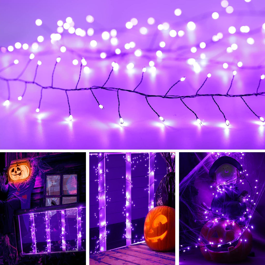 1 x 10 Feet / 200 LED / Purple / Black Wire