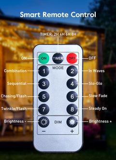 33 FT / 100 LED / Warm White