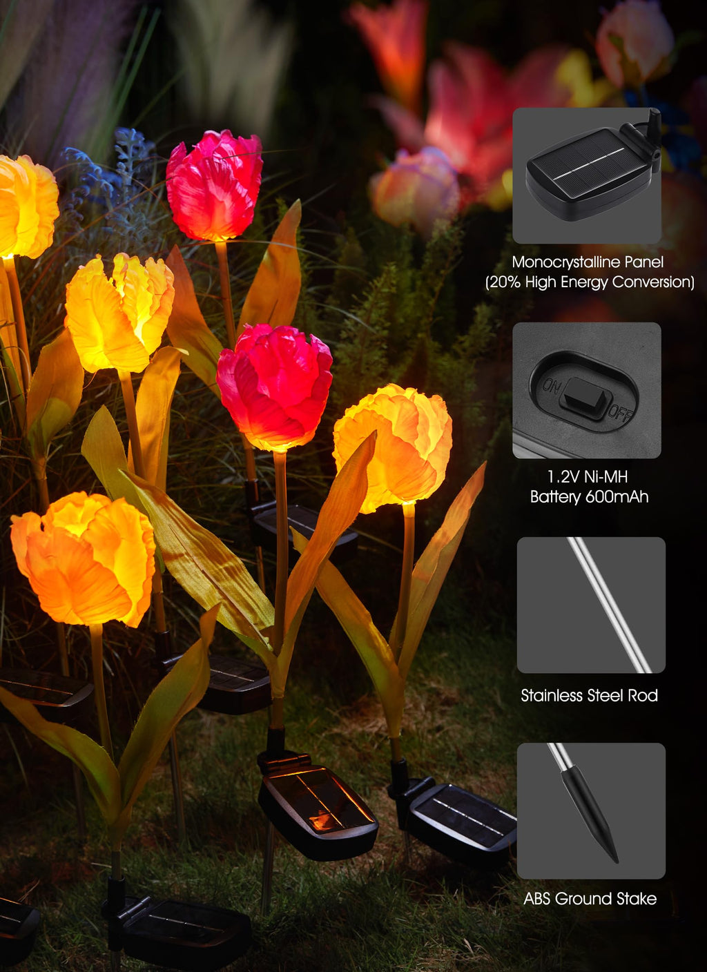 1 x 4 Pack / Tulip / LED