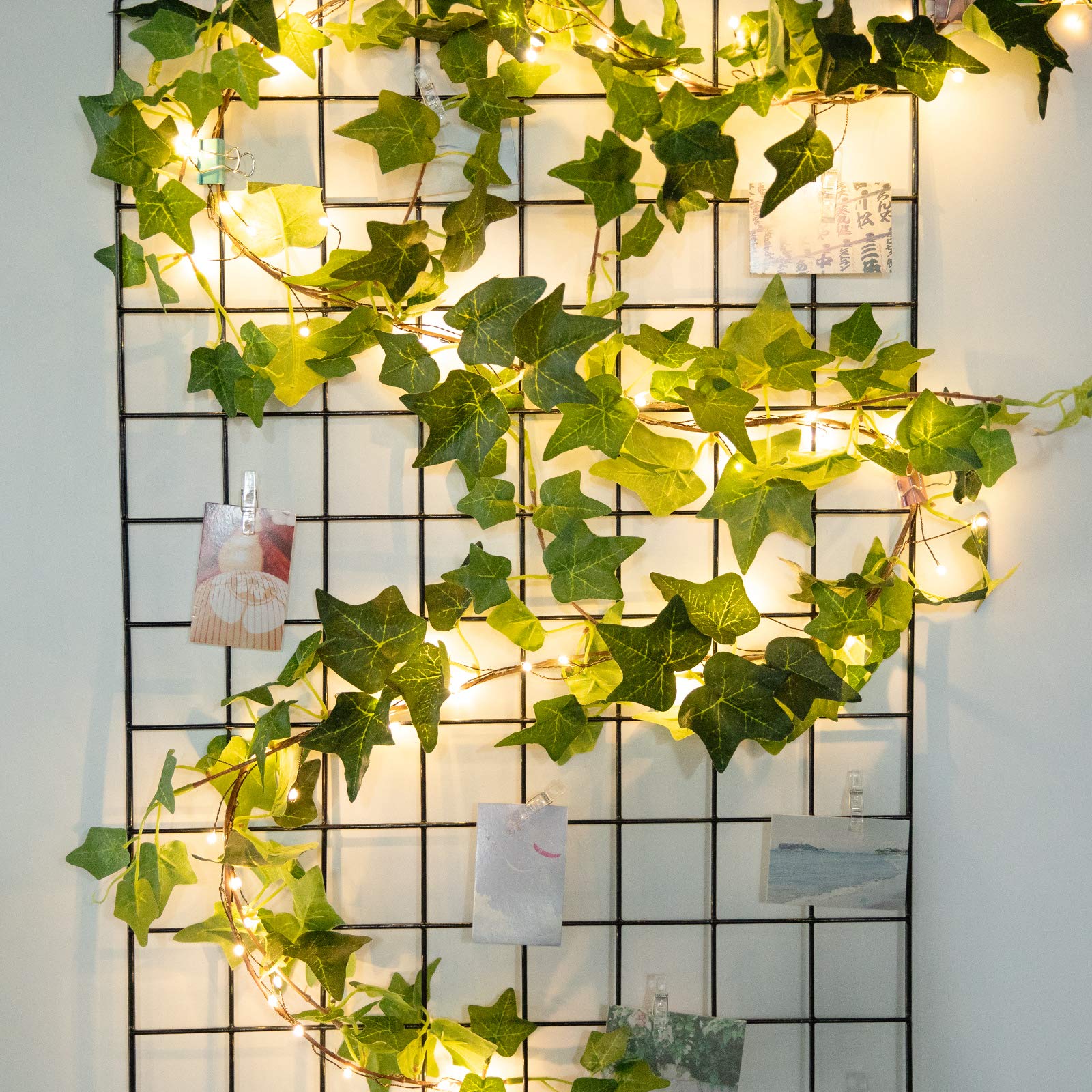 2 x 6 feet / 72 LED / Warm White