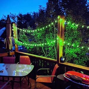 1 x 35 Feet / 60 LED / Crystal Globe / Green