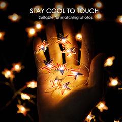 16.4 Feet / 50 LED / Warm White