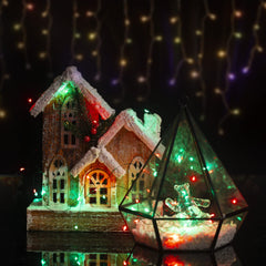 12 x 7 Feet / 20 LED / Red & Green