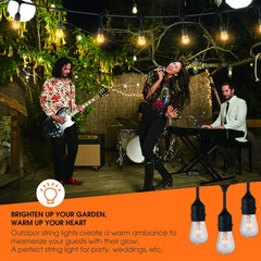 20 Count / Incandescent Bulbs / Warm White