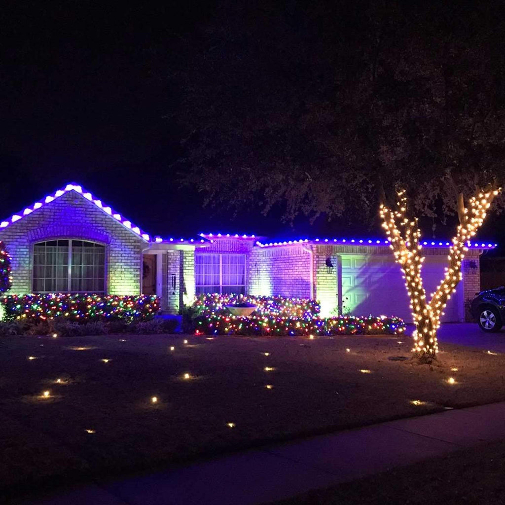 25 Count / Multicolor