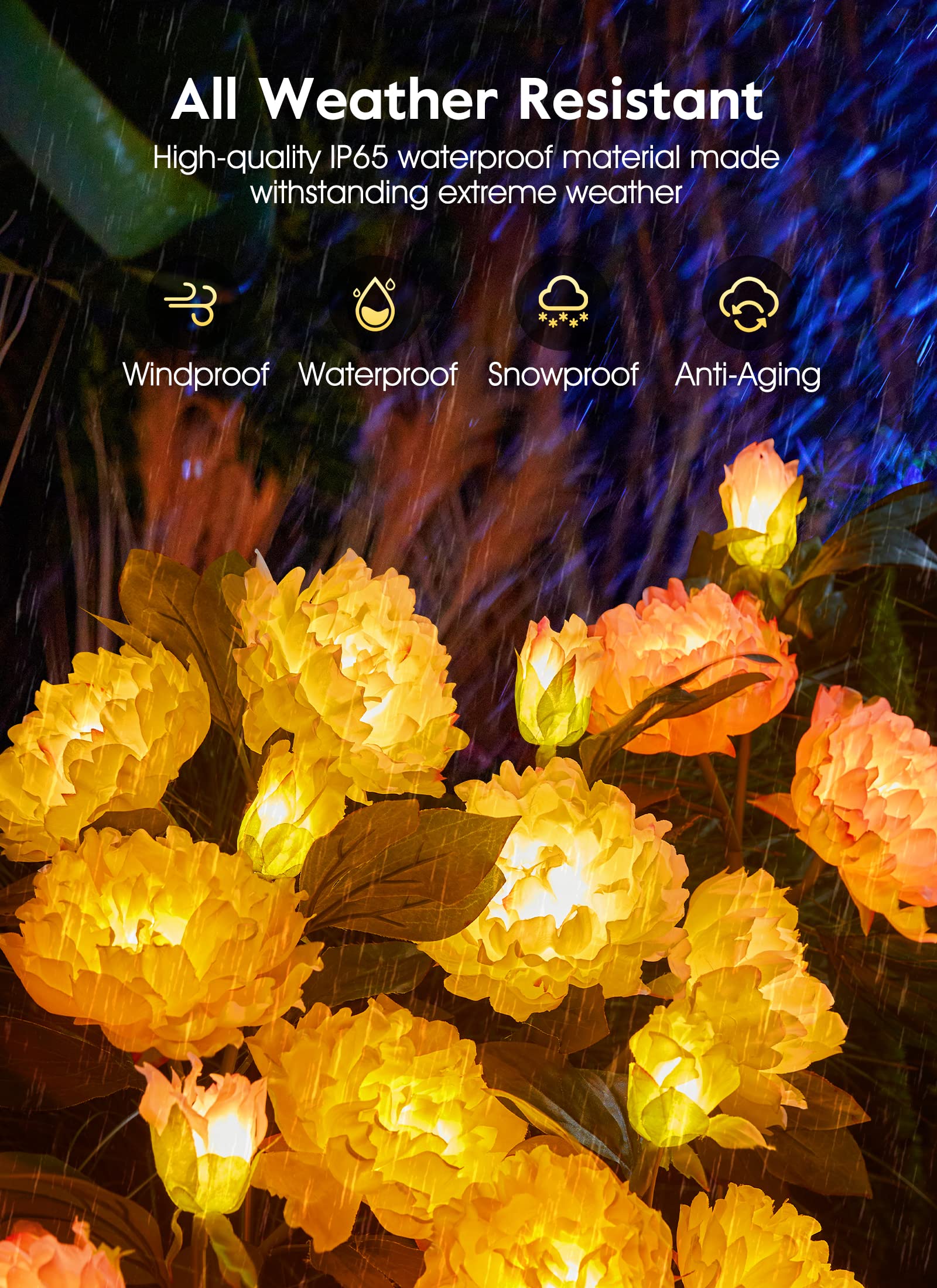 1 x 3 Pack / Peony / LED