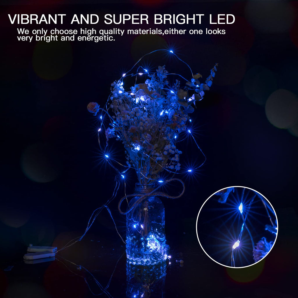 12 x 7 Feet / 20 LED / Blue & White