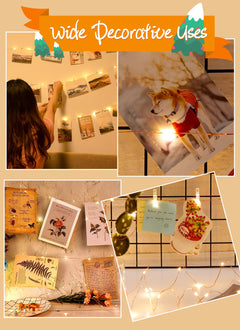 1 x 33 Feet / 100 LED / 60 Clips