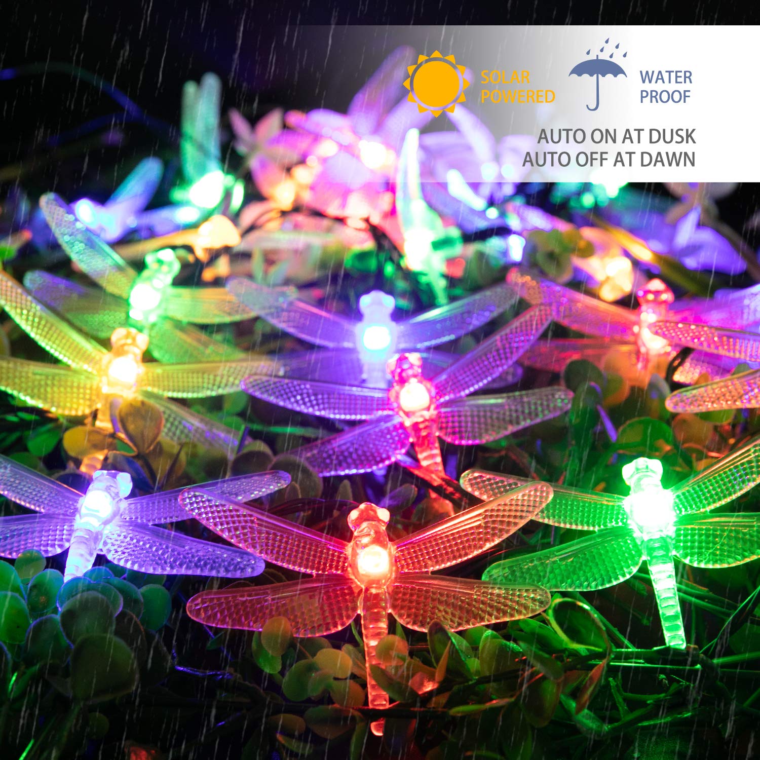 1 x 25 Feet / 30 LED / Dragonfly / Warm White