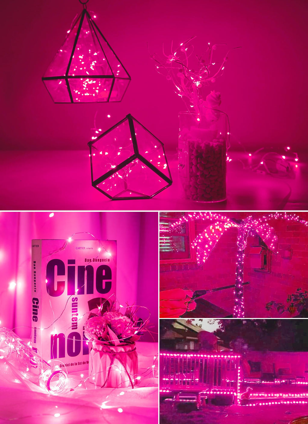 33 FT / 100 LED / Pink