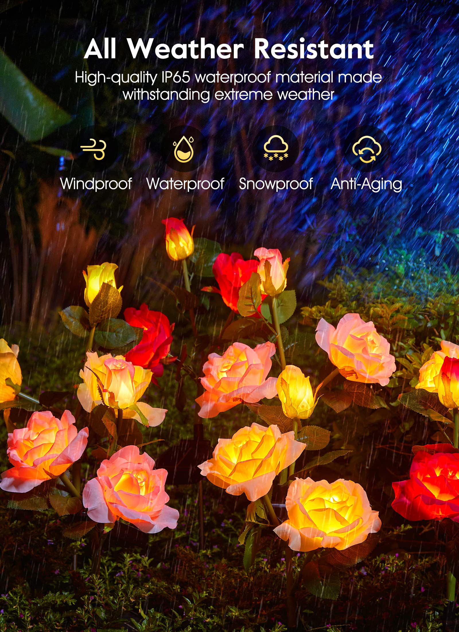 1 x 4 Pack / Rose / LED