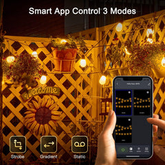 36 feet / 15 Bulbs / Warm White