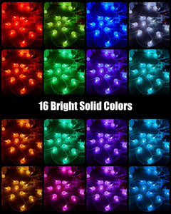 Crystal Globe String Lights, 16 Colors 7 Modes with Remote