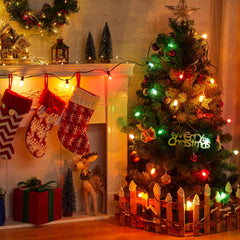 25 Count / Multicolor / Frosted