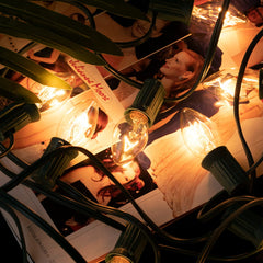 25 Feet / 25 Clear Bulbs / Green Wire