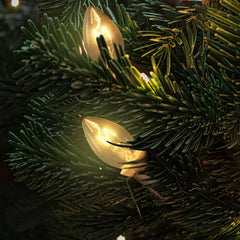 2 Pack / 6 Feet / White