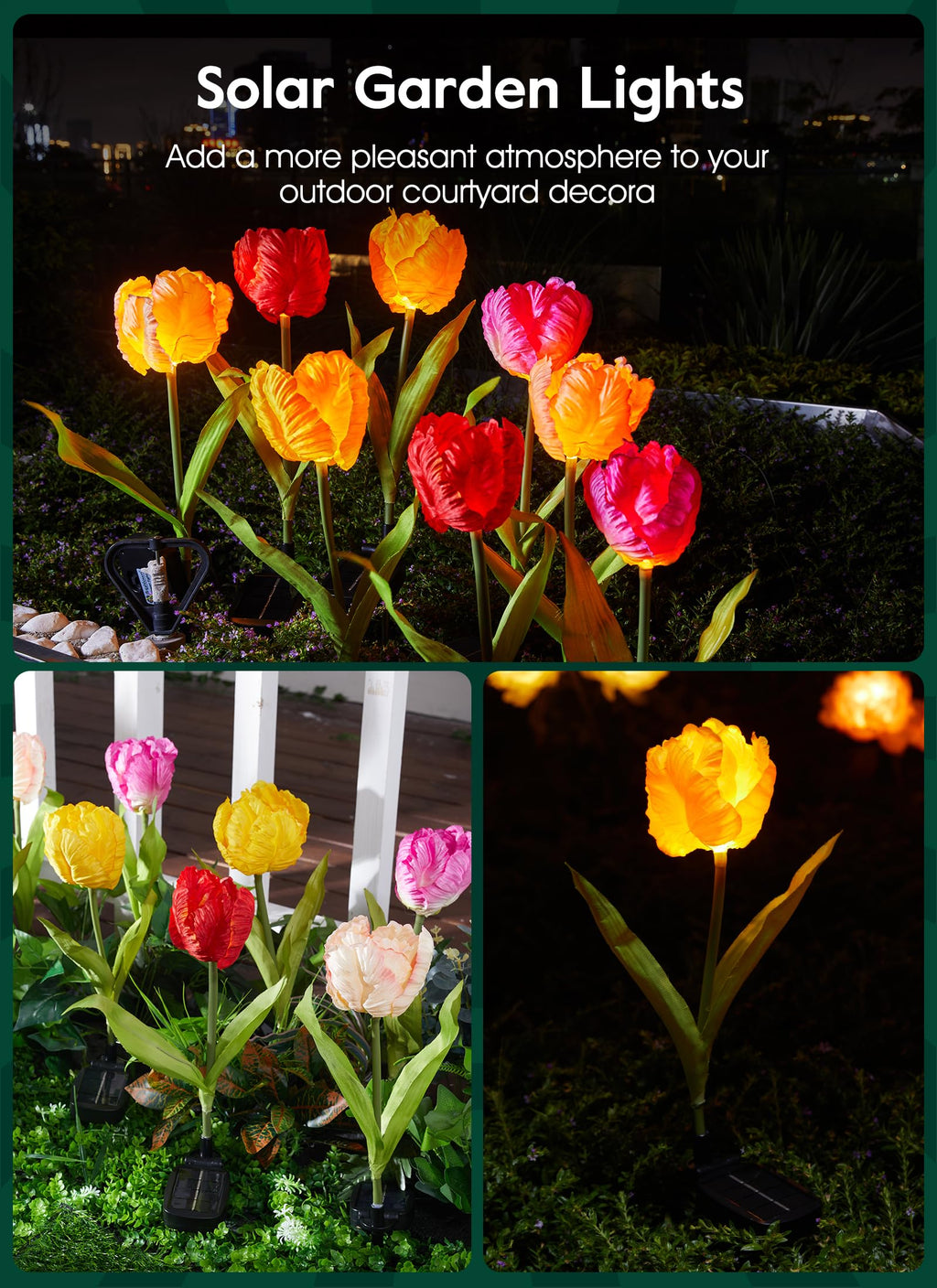 1 x 4 Pack / Tulip / LED