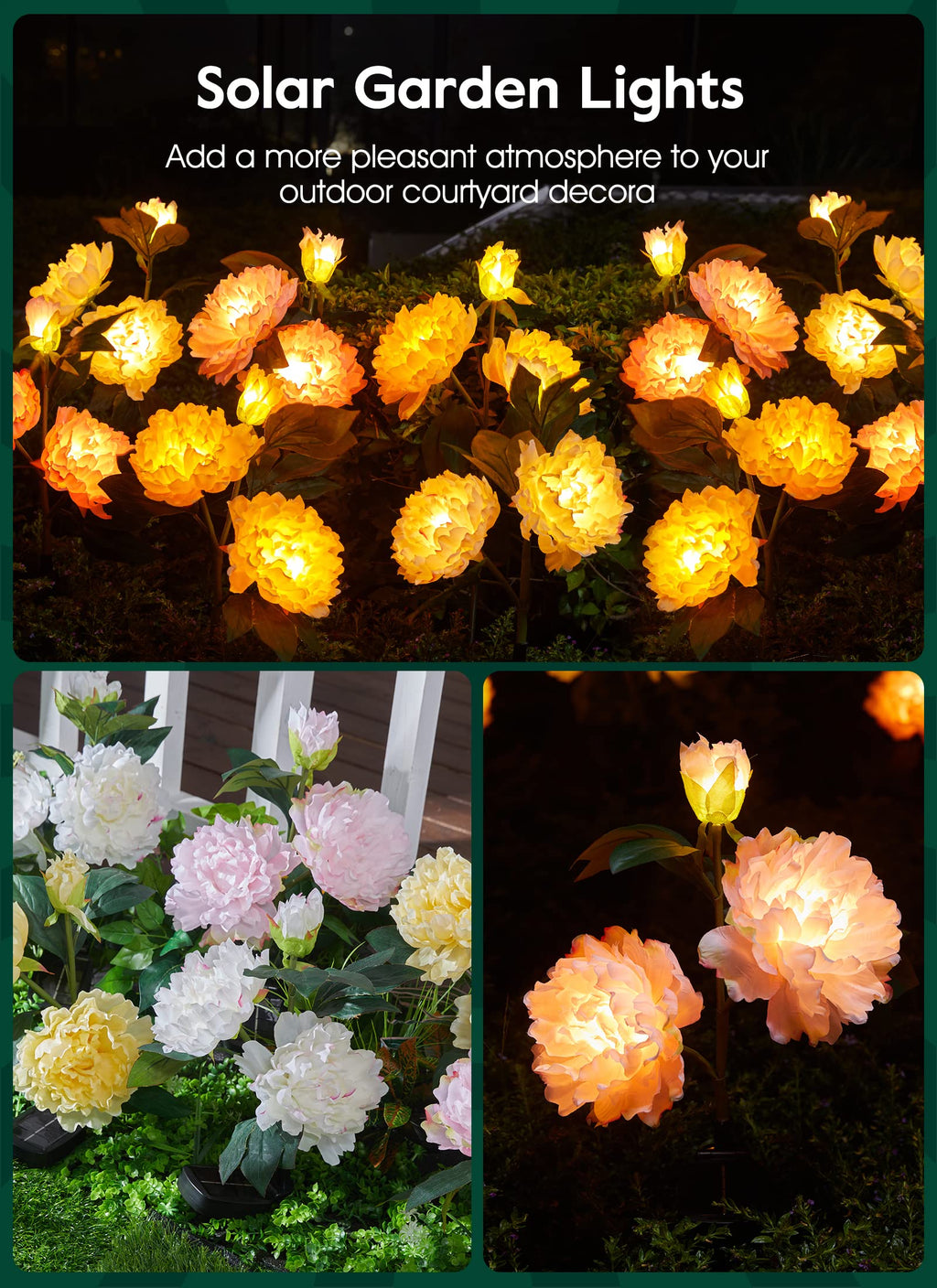 1 x 3 Pack / Peony / LED