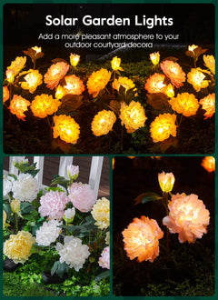 1 x 3 Pack / Peony / LED
