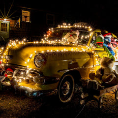 1 x 25 Feet / 100 Bulbs / Warm white