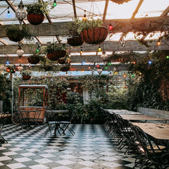 20 Count / Incandescent Bulbs / Multicolor