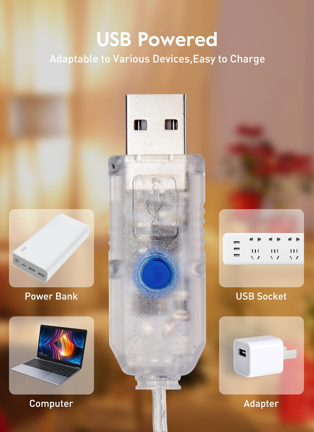 33 FT / 100 LED / Warm White