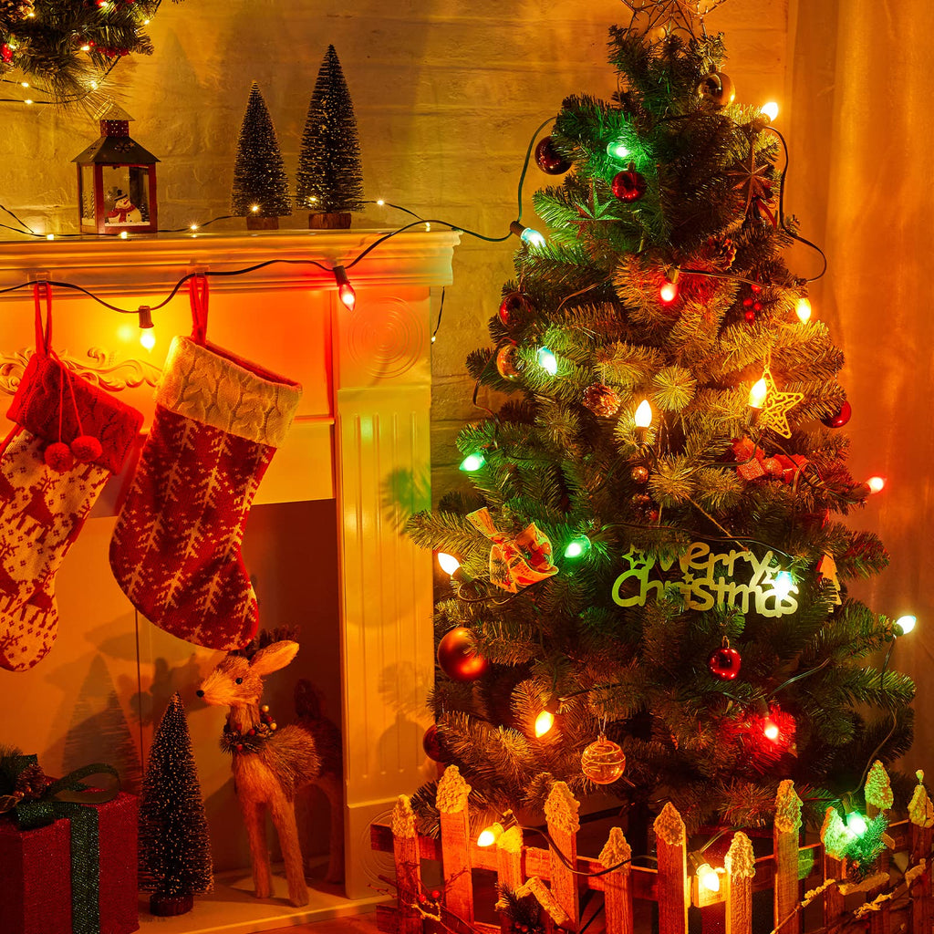 25 Count / Multicolor