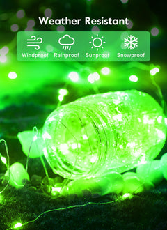 33 FT / 100 LED / Green