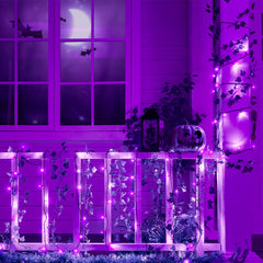 66 Feet / 200 LED / Purple / Black Wire