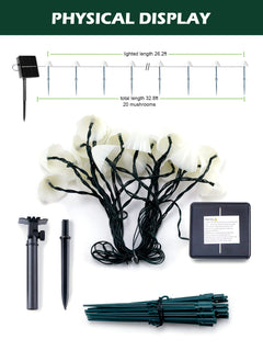 1 x 33 Feet / 20 LED / Mushroom / Warm White