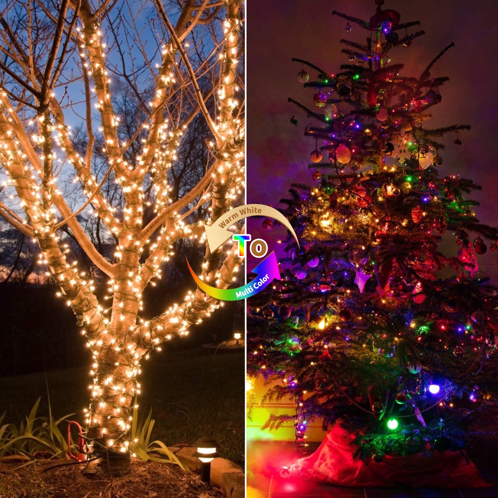 2 x 18 Feet / 50 LED / Warm White and Multicolor / Green Wire / Remote