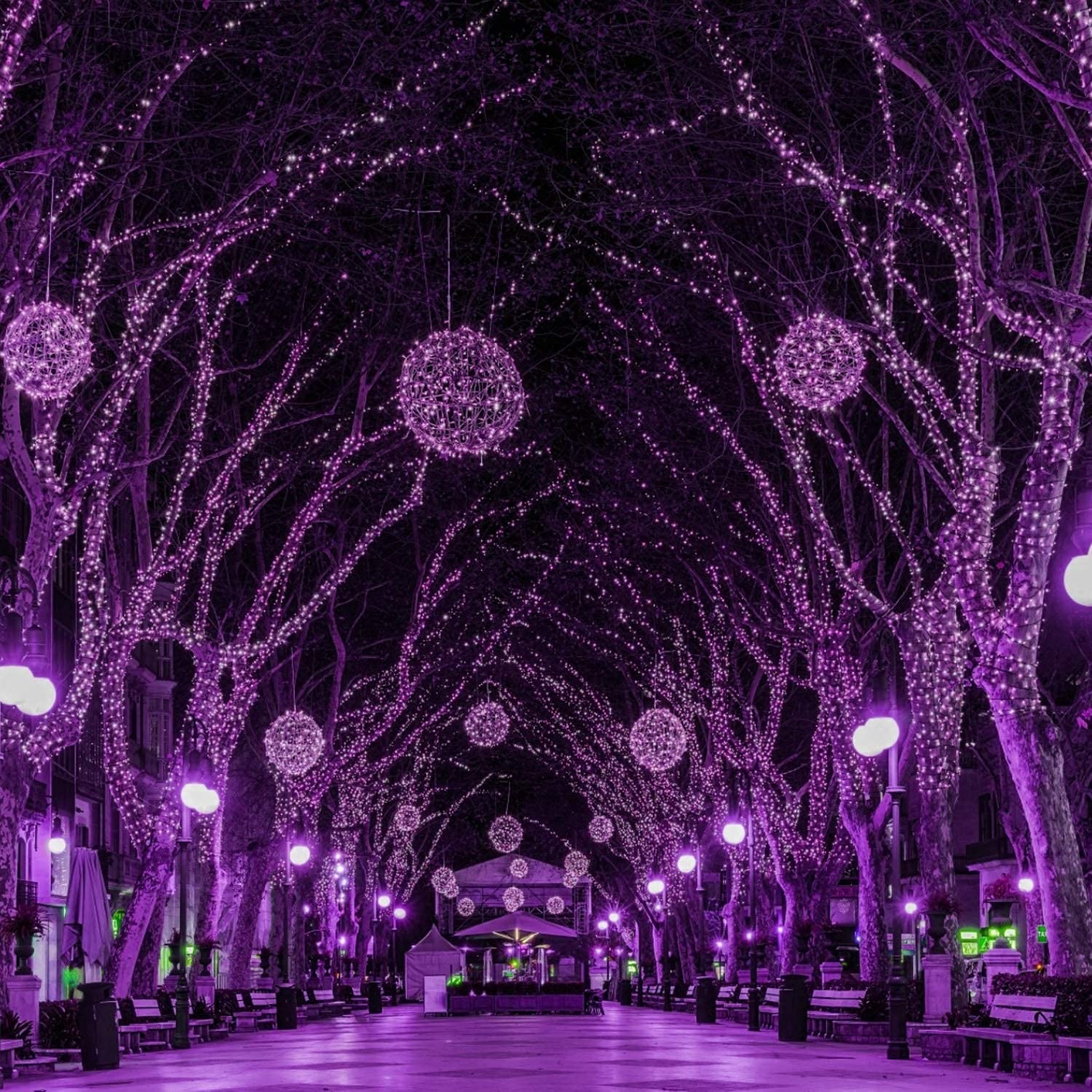 33 Feet / 100 LED / Purple / Black Wire